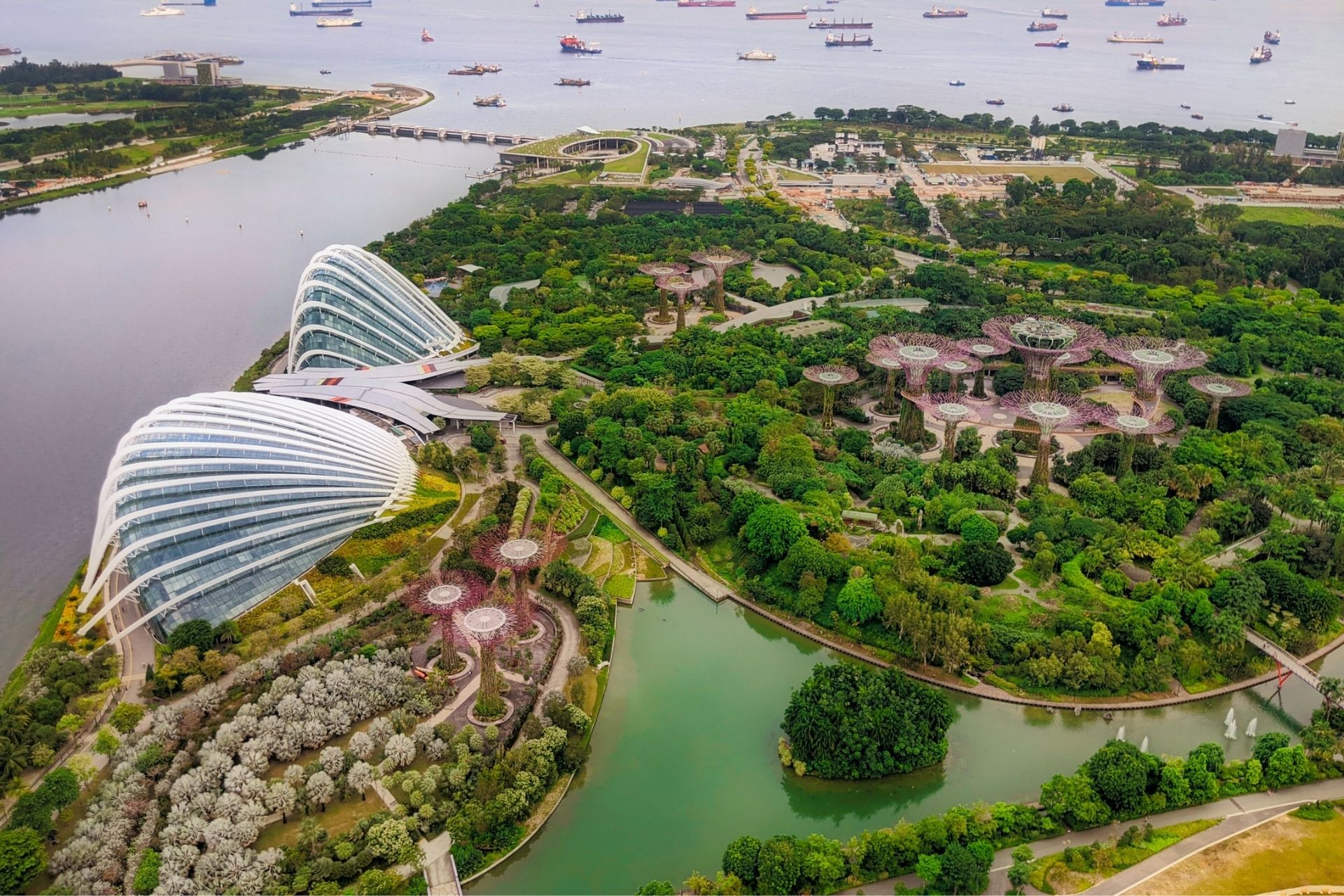 how to visit singapore from india